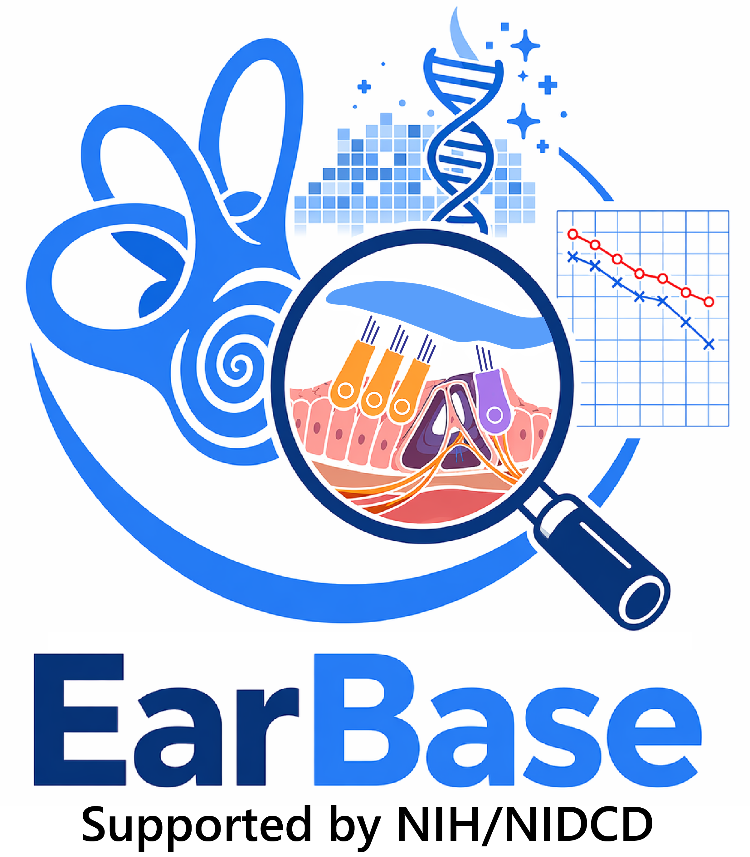EarBase — Supported by NIH/NIDCD