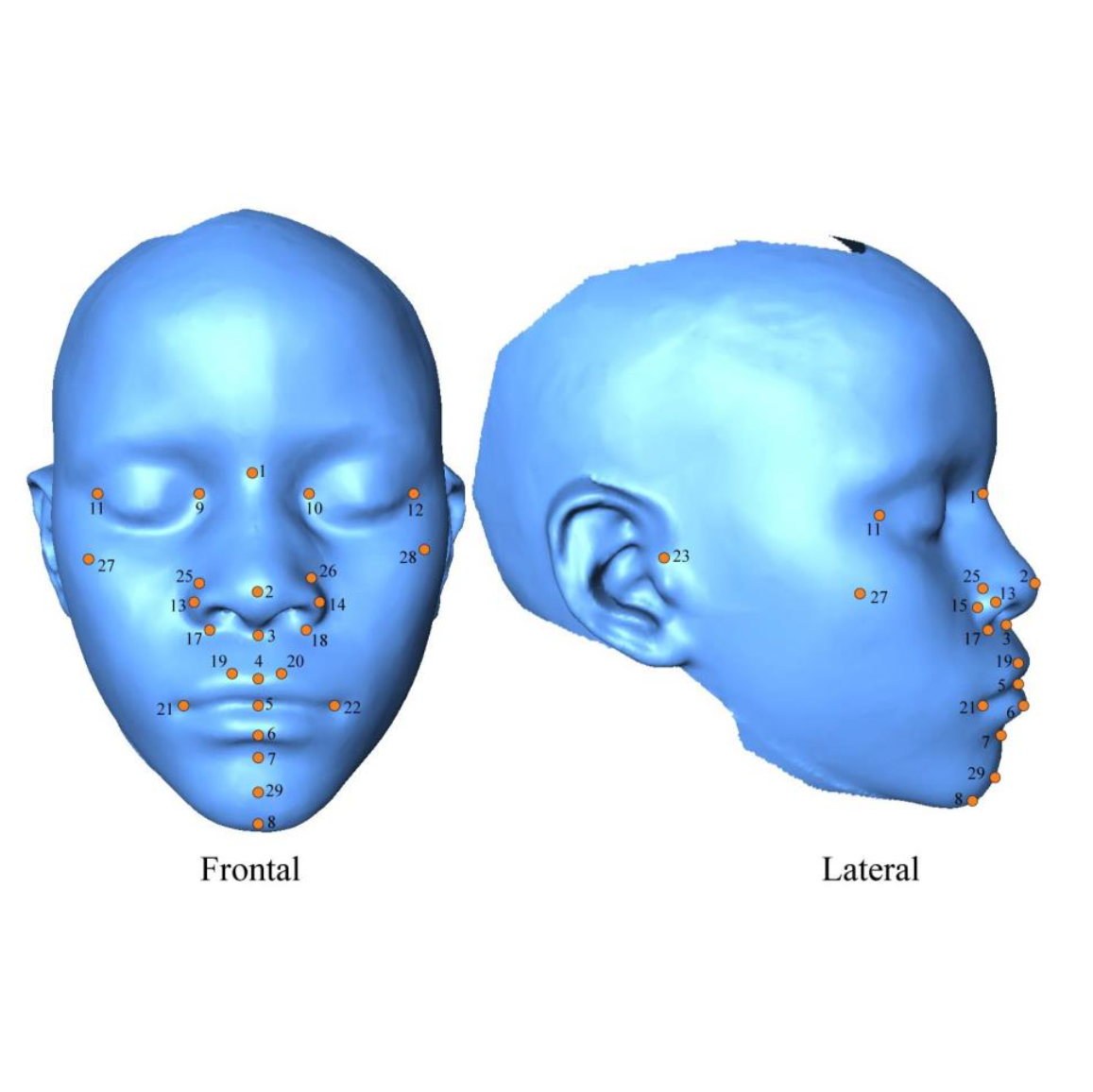 Facial scans thumbnail