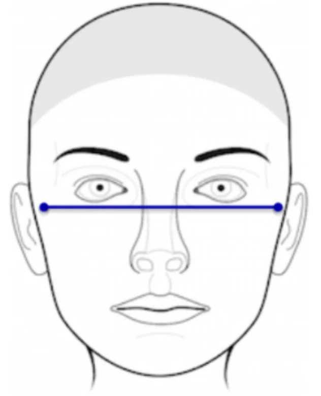 Human face illustration