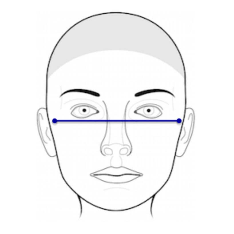 Facial Norms thumbnail