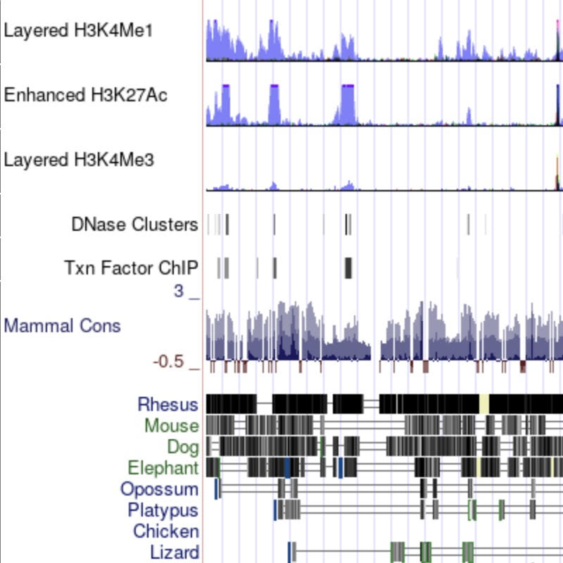 UCSC NCBI36/hg18 Browser