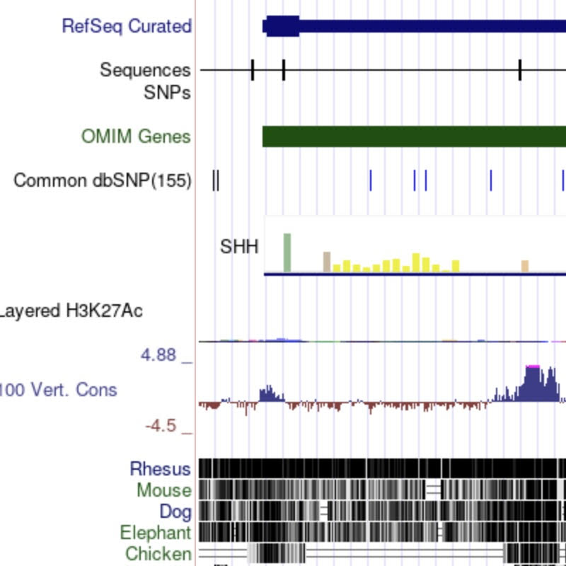 UCSC GRCh37/hg19 Browser