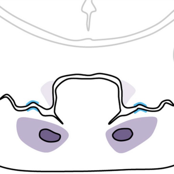 Gene Summaries